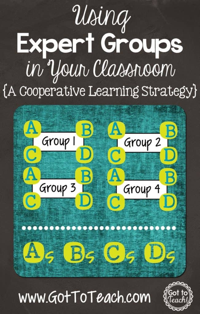 Expert Groups: A Cooperative Learning Strategy