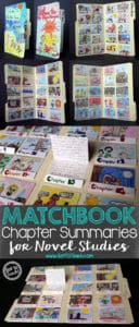 matchbook chapter summaries for novel studies