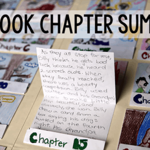 matchbook chapter summaries