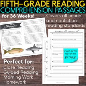 5th grade reading