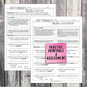 Dictionary Skills