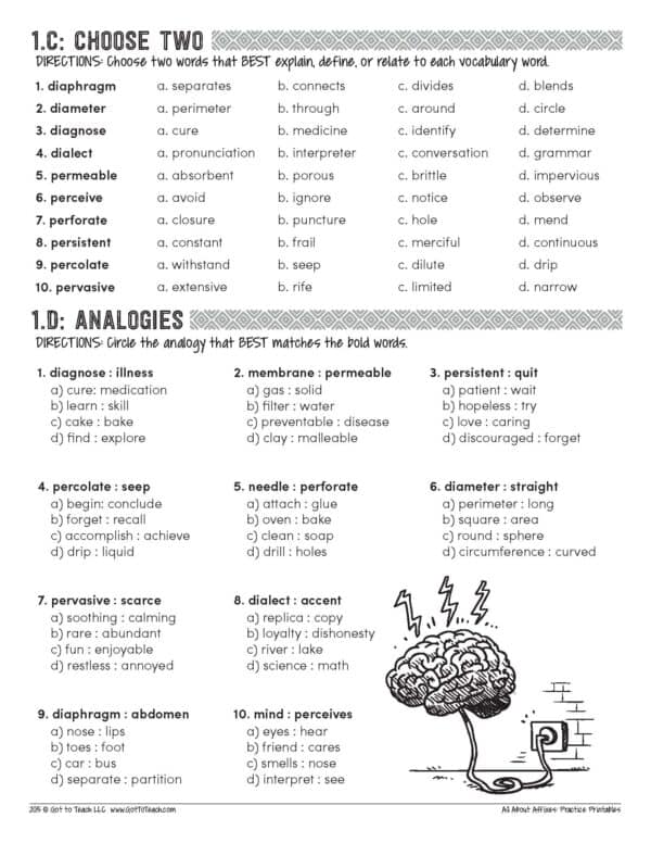 Affixes Practice Printables • Teacher Thrive