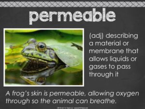 prefixed and suffixes