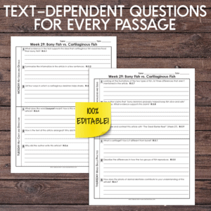 5th grade reading comprehension
