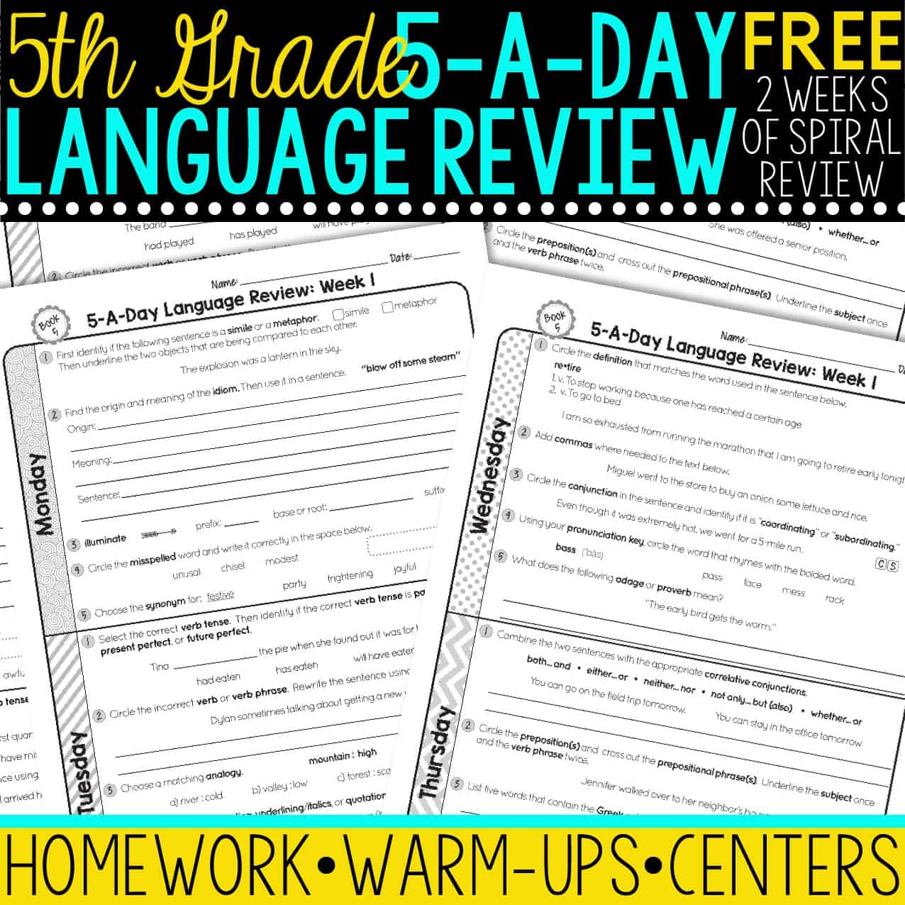 fifth grade daily language review