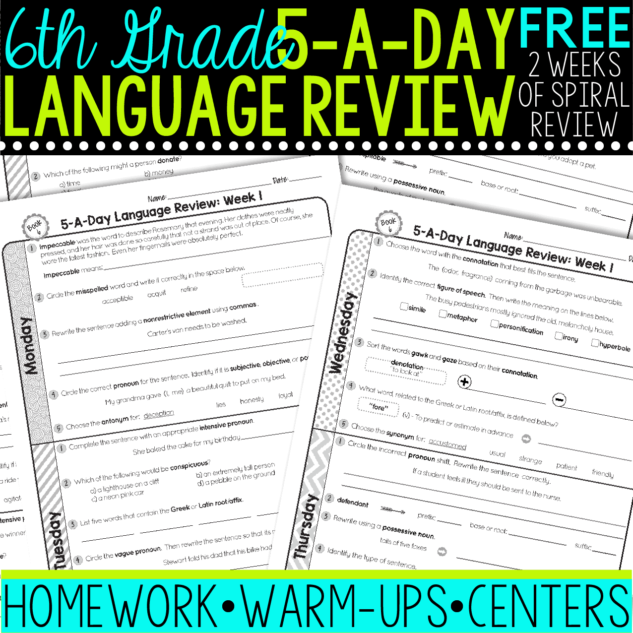 sixth grade daily language review