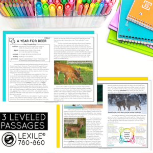 4th Grade Order and Sequence Nonfiction Text Structure Reading ...