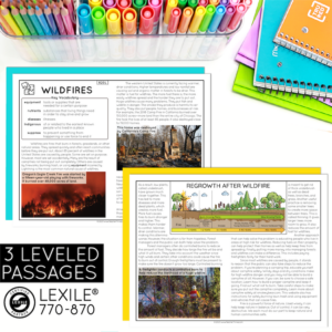 4th Grade Problem and Solution Nonfiction Text Structure Reading ...