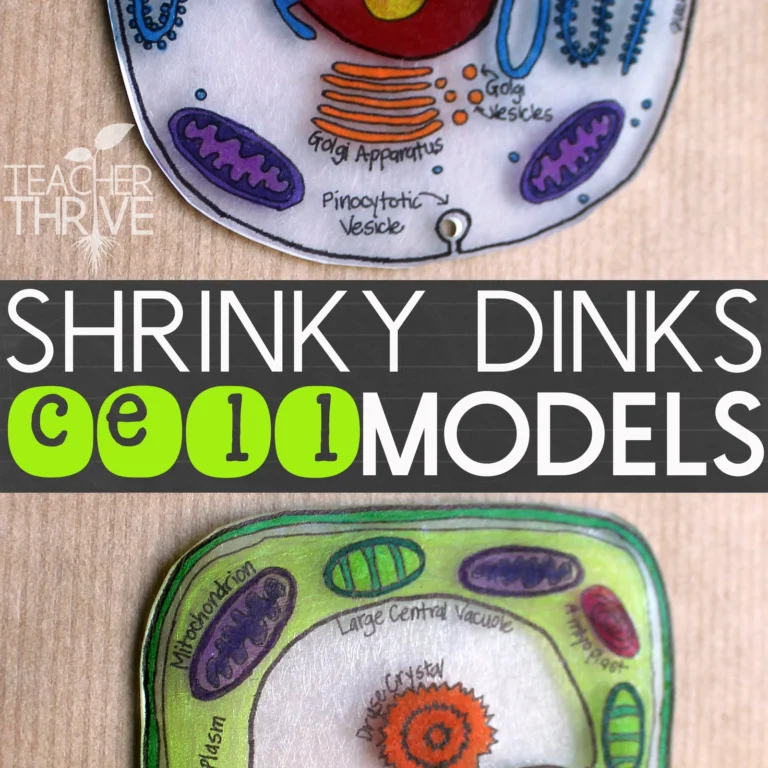 Shrinky Dinks Cell Models
