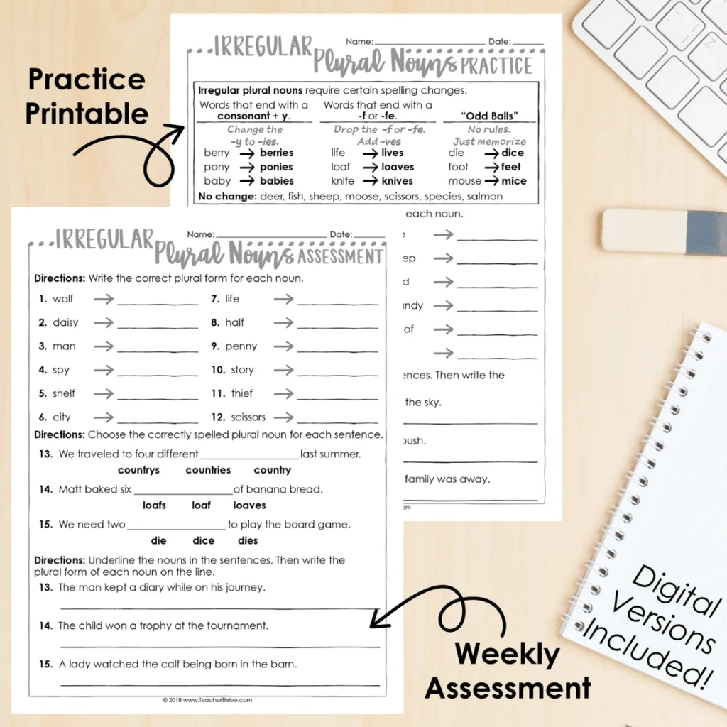 3rd Grade Grammar Unit: Irregular Plural Nouns — Image 2