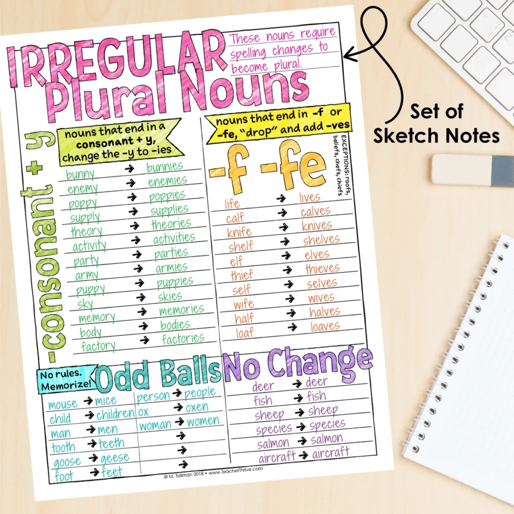 3rd Grade Grammar Unit: Irregular Plural Nouns — Image 4