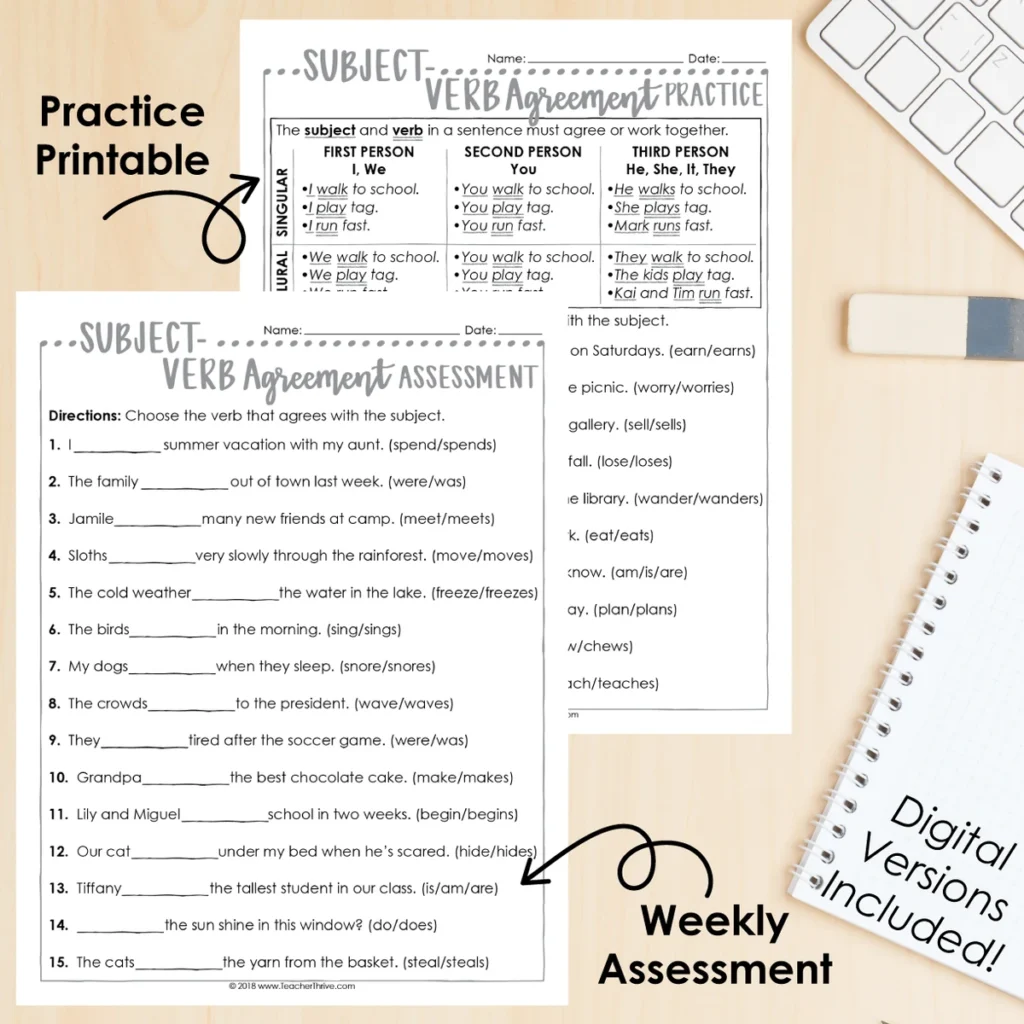 3rd Grade Grammar Unit: Subject-Verb Agreement — Image 2