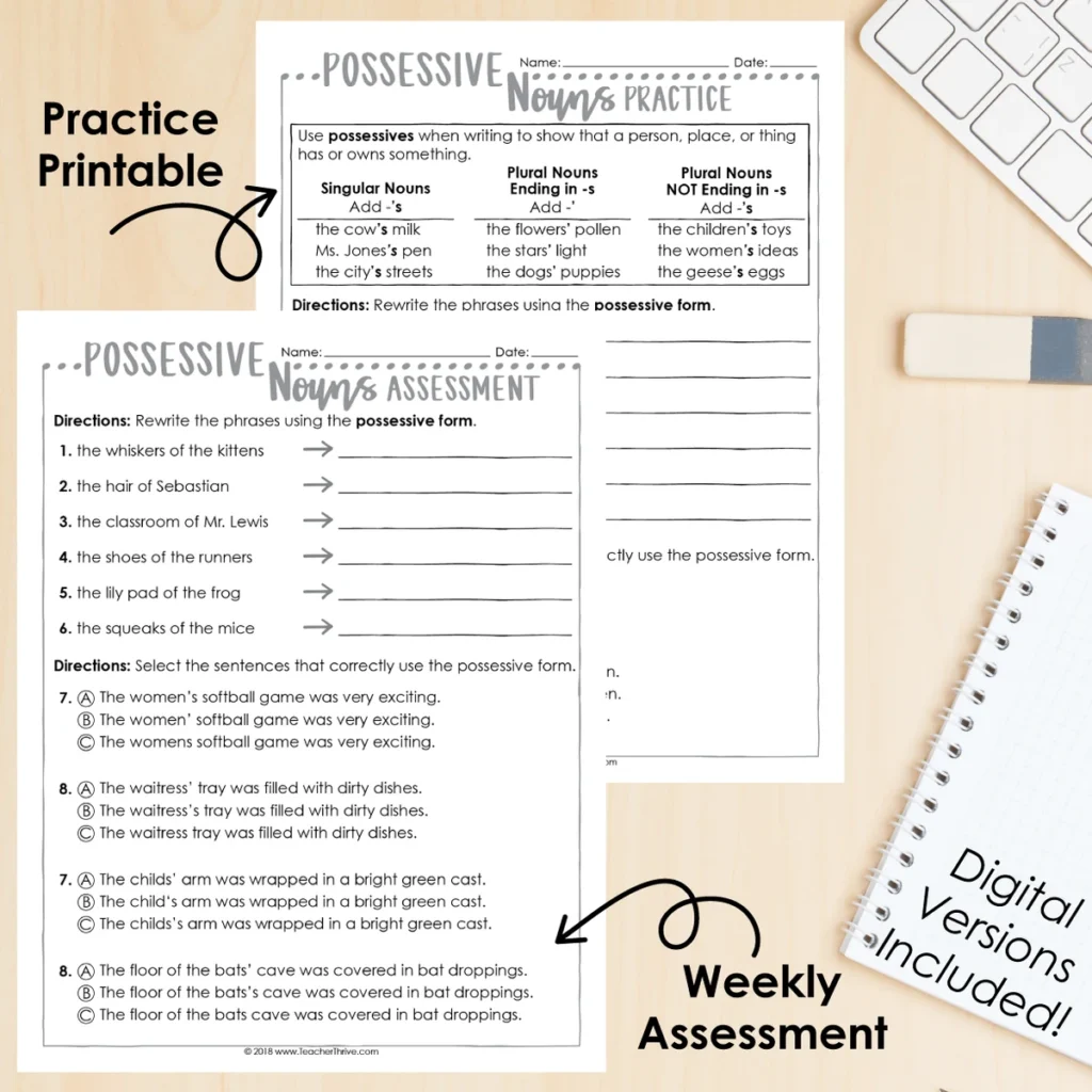 3rd Grade Grammar Unit: Possessive Nouns — Image 2