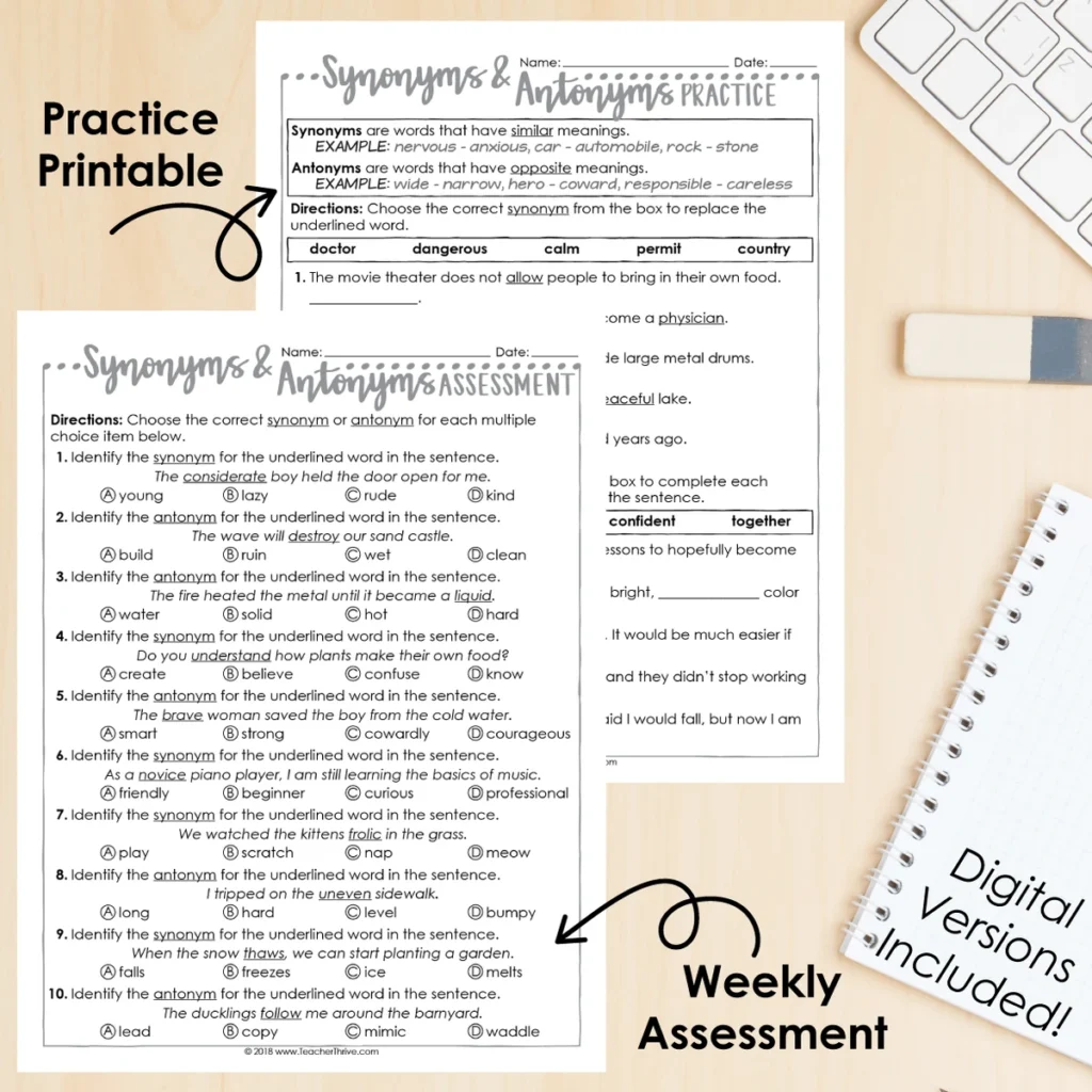 4th Grade Grammar Unit: Synonyms and Antonyms — Image 2