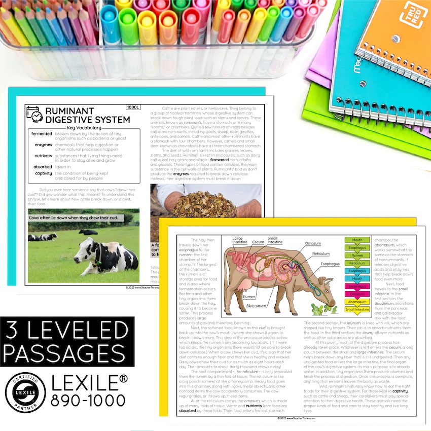 5th Grade Chronological Order Nonfiction Text Reading Comprehension Passages — Image 2