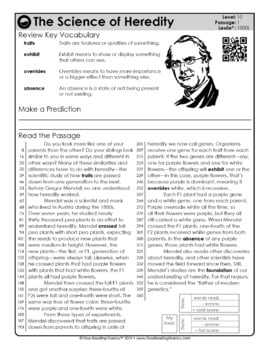 Reading Fluency and Reading Comprehension Level 10 (1,000L-1,100L) — Image 2