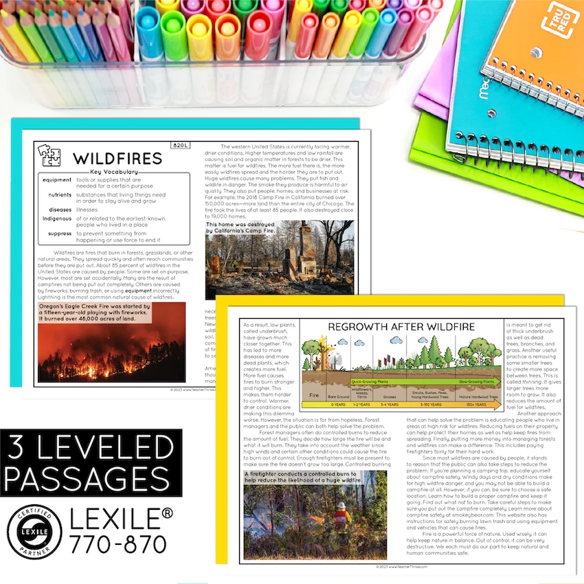 4th Grade Problem and Solution Nonfiction Text Reading Comprehension Passages — Image 2