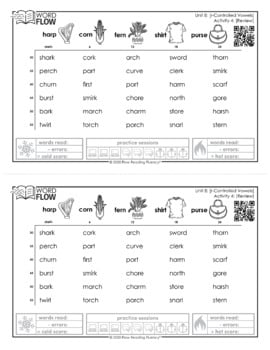 Science of Reading Phonics Based Reading Fluency Program — Image 3