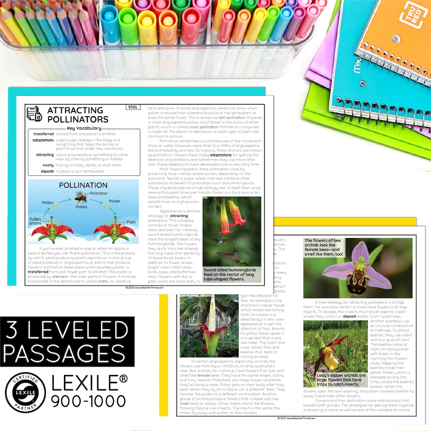 5th Grade Descriptive Nonfiction Text Structure Reading Comprehension Passages — Image 2