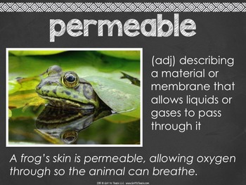 All About Affixes PowerPoints Morphology — Image 2