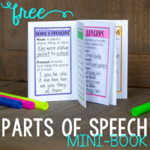Parts Of Speech Mini-Book