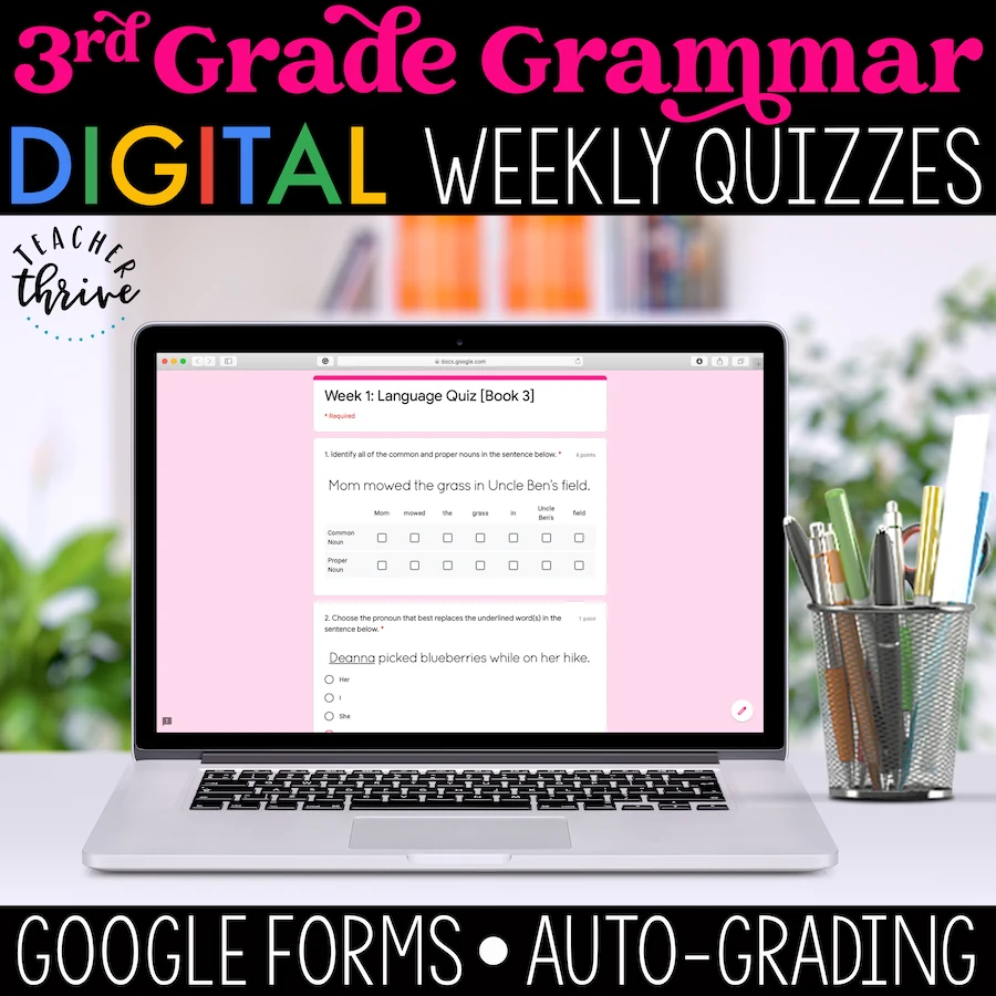 3rd Grade Language Assessments [DIGITAL]