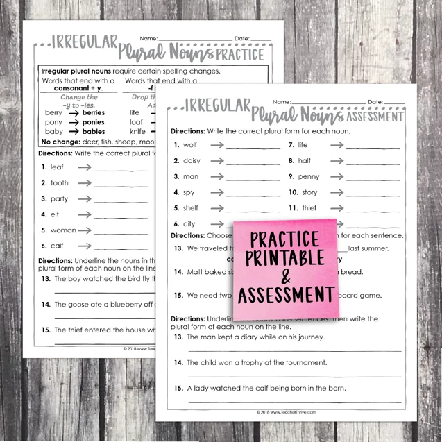 3rd Grade Grammar Unit: Irregular Plural Nouns — Image 2