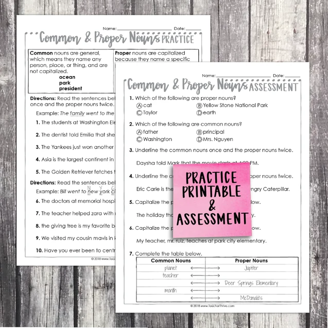 3rd Grade Grammar Unit: Common and Proper Nouns — Image 2