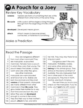 Reading Fluency and Reading Comprehension Level 6 (600L-700L) — Image 2