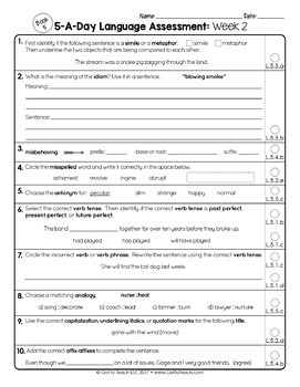5th Grade Weekly GRAMMAR Assessments Language Quizzes Editable Test Prep — Image 4