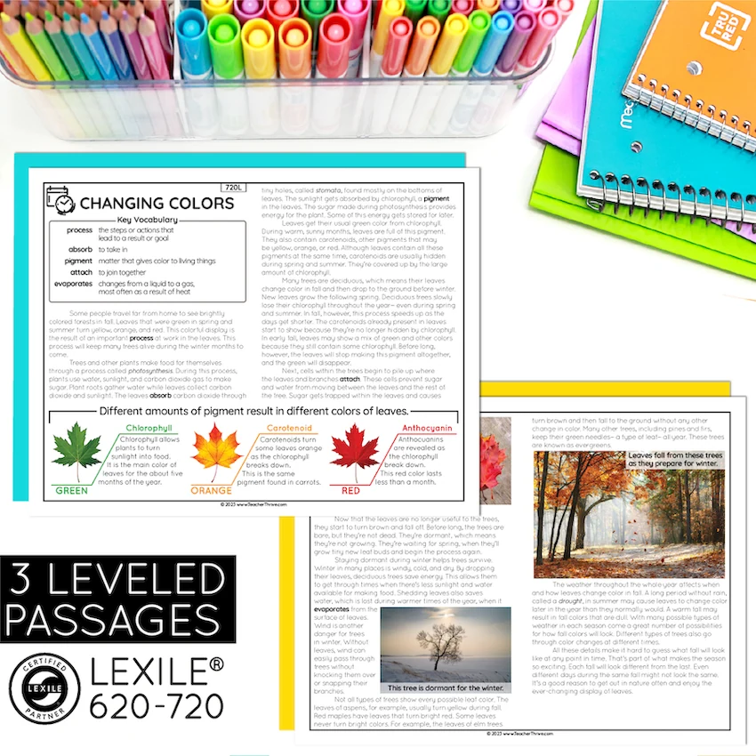 3rd Grade Chronological Order Nonfiction Text Reading Comprehension Passages — Image 2