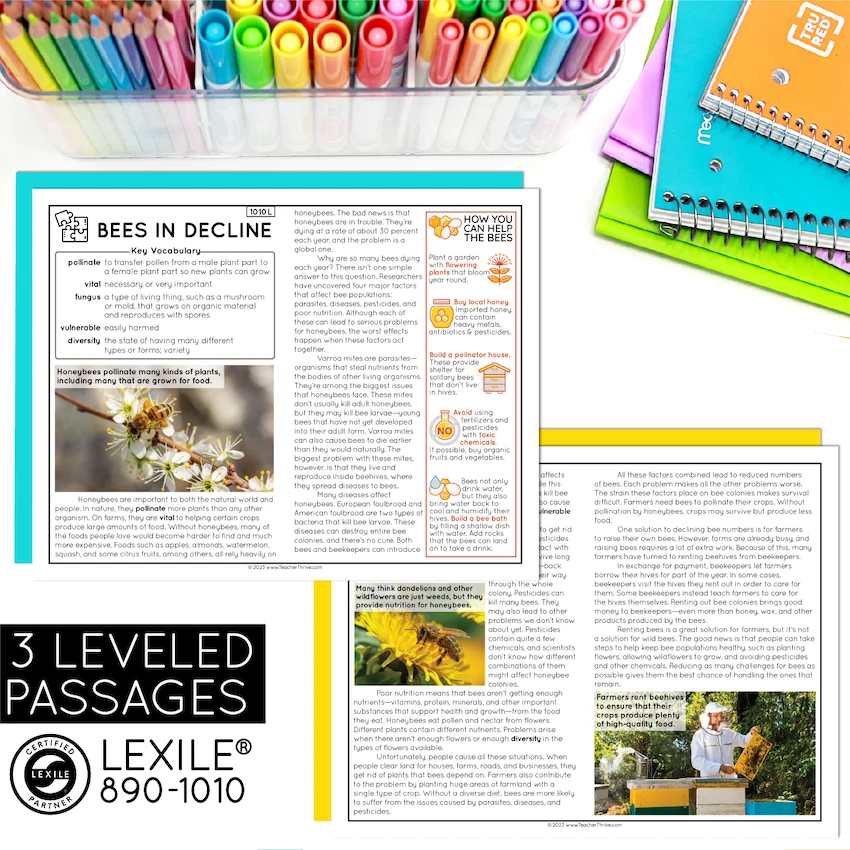 5th Grade Problem and Solution Nonfiction Text Reading Comprehension Passages — Image 2
