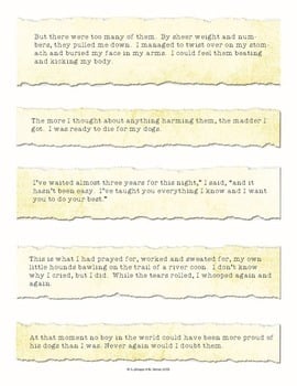 "Book Bits": a Fun Pre-reading Activity for Where the Red Fern Grows — Image 3