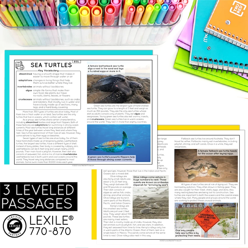 4th Grade Descriptive Nonfiction Text Structure Reading Comprehension Passages — Image 2