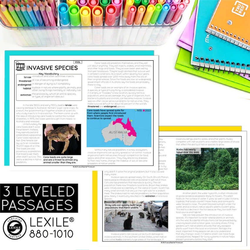 5th Grade Cause and Effect Nonfiction Text Structure Reading Comprehension — Image 2