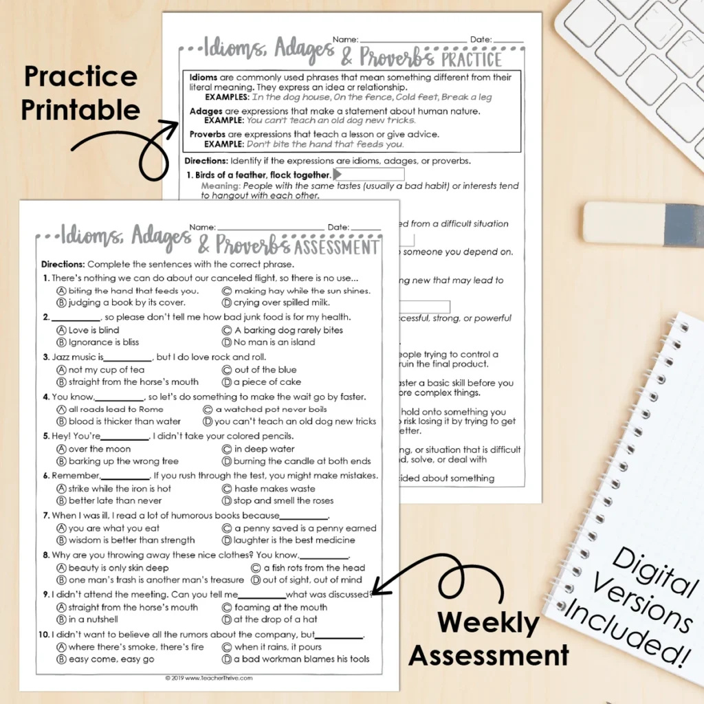 5th Grade Grammar Unit: Idioms, Adages & Proverbs — Image 2