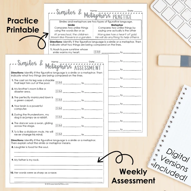 4th Grade Grammar Unit: Similes and Metaphors — Image 2