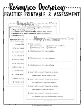 3rd Grade Grammar Unit: Nouns — Image 4