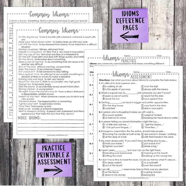 4th Grade Grammar Unit: Idioms — Image 2