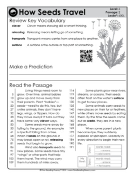 Reading Fluency and Reading Comprehension Level 6 (600L-700L) — Image 4