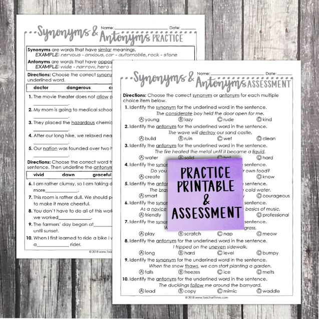 4th Grade Grammar Unit: Synonyms and Antonyms — Image 2