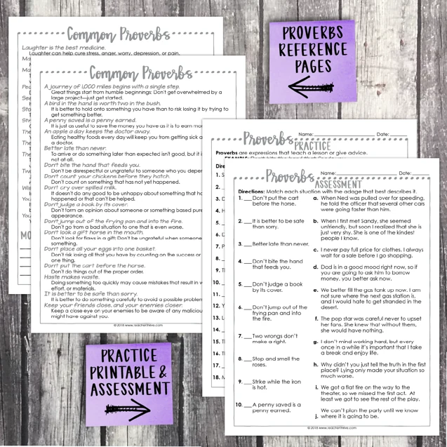 4th Grade Grammar Unit: Proverbs — Image 2